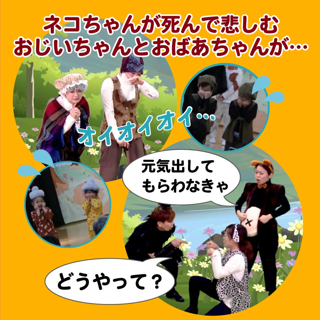 模範演技より、ねこが死んで悲しむ老夫婦の写真
