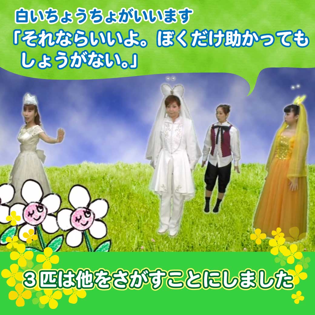 模範絵演技より、白いお花が断っているところの写真